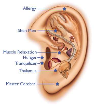 massaging the ears could help to cure internal problems according to proponents of auriculotherepy or ear acupuncture, an ancient Chinese form of medicine