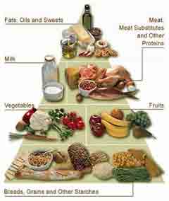 The food pyramid is the ideal guide on what foods you should be eating and in what quantities if you want to eat well and age well.