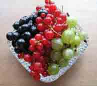 fruit and vegetables are imperative for a healthy diet, make sure you get your five portions a day