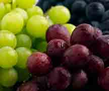  Grapes may help creaky knees, arthritis and other related problems