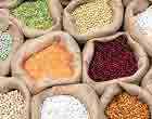 Pulses are a great source of protein 