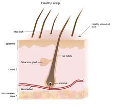 a dry, itchy scalp is uncomfortable and can be chronic