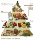 Organic nutrients include carbohydrates, fats, proteins, enzymes, amino acids, minerals and vitamins. 