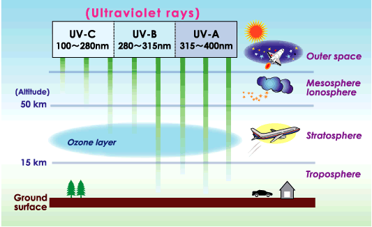 This chart shows the different kinds of ultra-violet rays