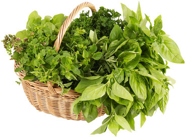 fresh herbs are used to vary the taste and because of the nutrients they add to this healthy broth
