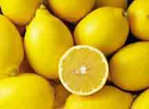 lemon stimulates cancer-killing immune cellsLemon stimulates cancer-killing immune cells Discover how the lemon can detox and flush the liver 