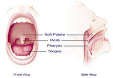 finding out what causes snoring can be the way to  how to stop snoring and find snoring solutiions and snoring remedies